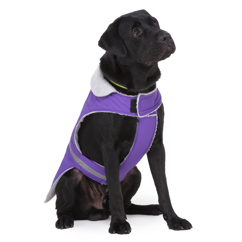 Pet clothes winter clothes night reflective pet clothes - Fabs things