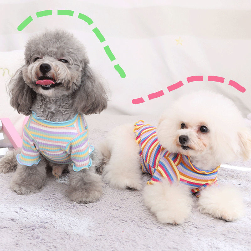 Rainbow Undercoat Dog Clothes Pet Clothes Cat Bears VIP Pomeranian Schnauzer Small Dog Clothes - Fabs things