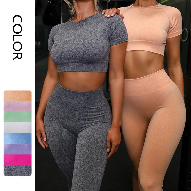 Seamless Yoga Sport Set Fitness Women Running Leggings Short Sleeve Tops - Fabs things