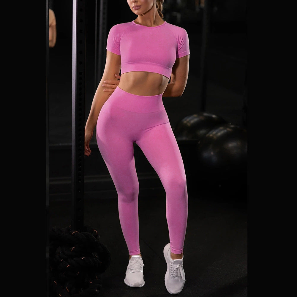Seamless Yoga Sport Set Fitness Women Running Leggings Short Sleeve Tops - Fabs things
