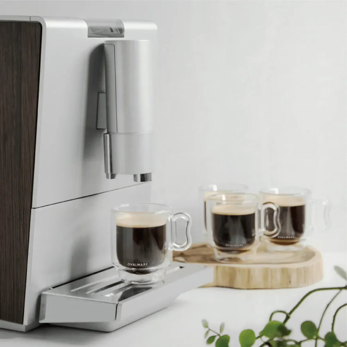 Double Wall Espresso Cups - 120ml/4oz - Fabs things