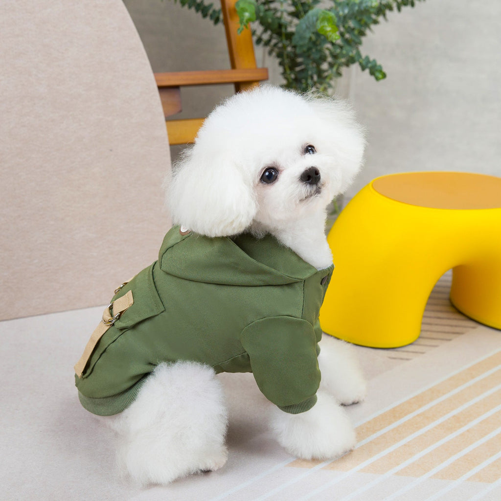 Pet clothes sweaters clothing for dogs teddy cats cool style two legged cotton clothes - Fabs things