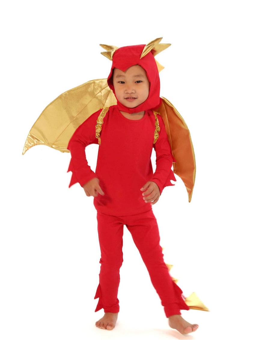 Red Dragon Costume