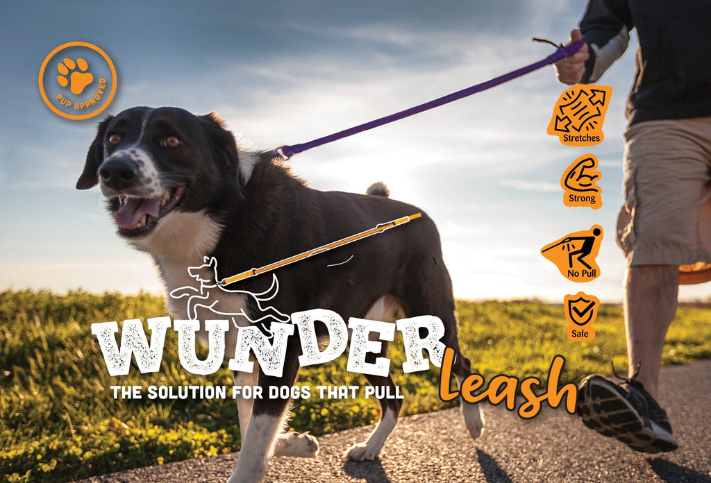 WUNDERleash – The Original No-Pull Dog Leash - Fabs things