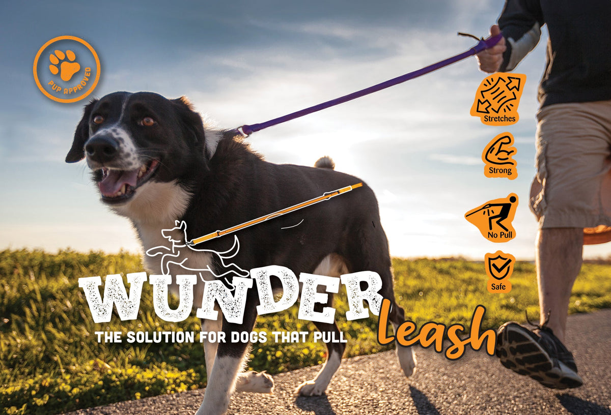 WUNDERleash – The Original No-Pull Dog Leash - Fabs things
