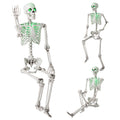 5.5 FT Halloween Skeleton Life-Size Posable for Indoor Outdoor Decoration