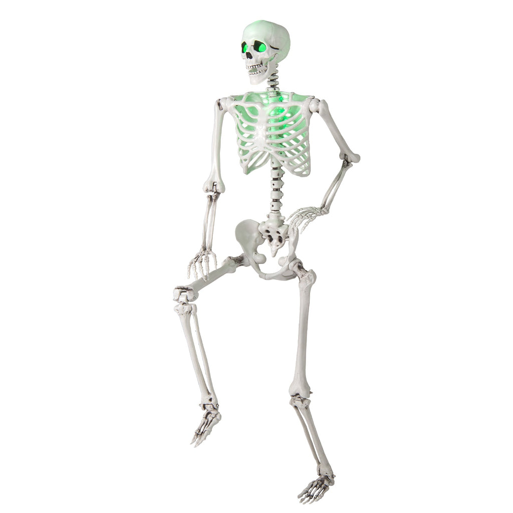 5.5 FT Halloween Skeleton Life-Size Posable for Indoor Outdoor Decoration