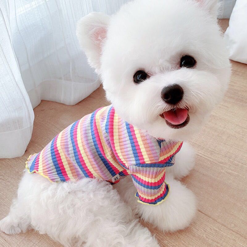 Rainbow Undercoat Dog Clothes Pet Clothes Cat Bears VIP Pomeranian Schnauzer Small Dog Clothes - Fabs things