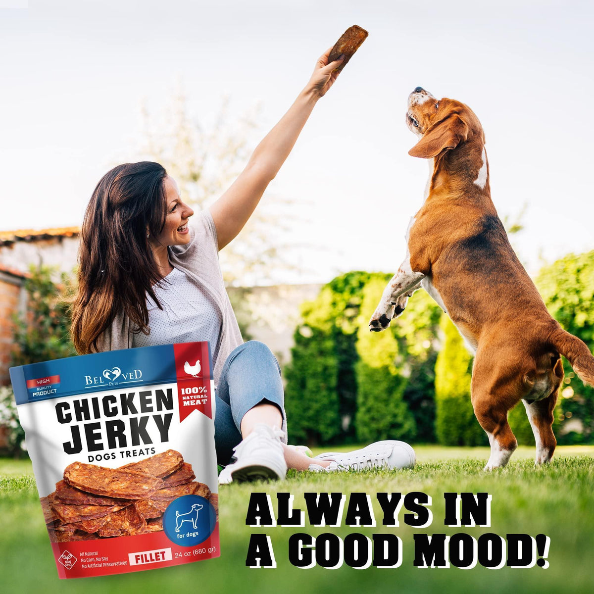 Chicken Jerky Dog Treats 1.5 lb Human-Grade Grain-Free Dried Strips - Fabs things