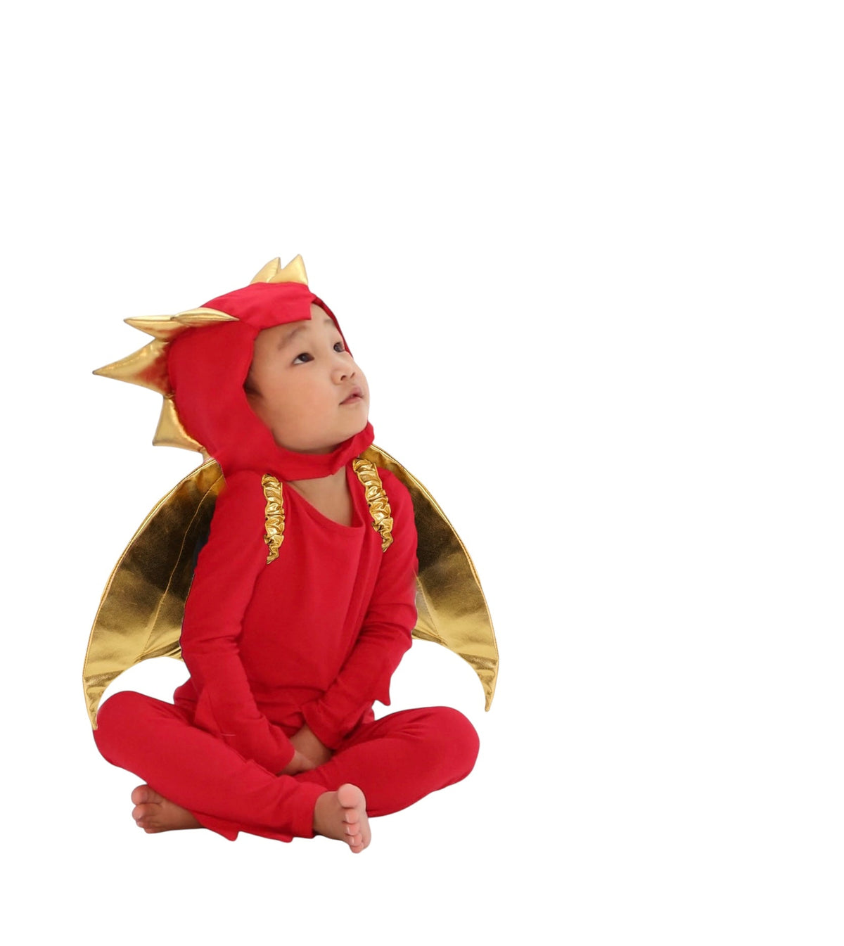Red Dragon Costume