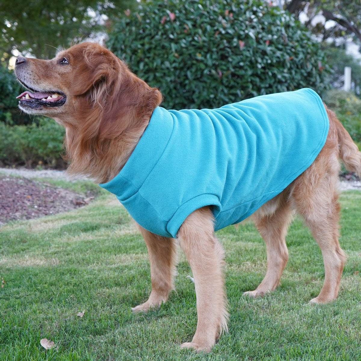 Pet Labrador Golden Retriever Dog Clothes Large Breed Winter Warm Pet Clothes European and American Cross-border Wholesale - Fabs things