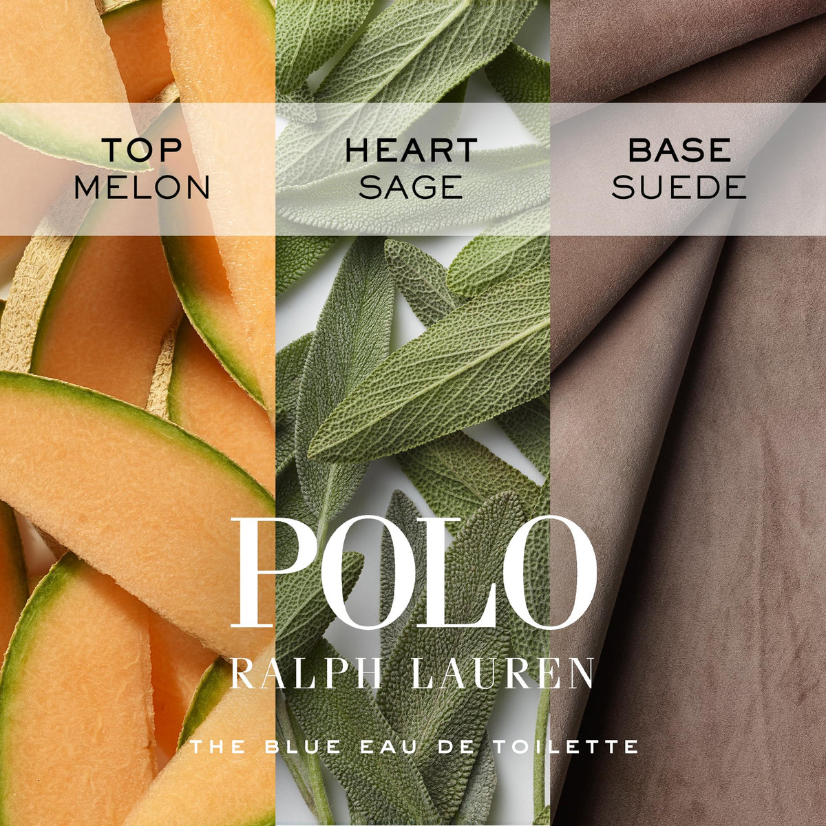 RALPH LAUREN FRAGRANCES - Polo Blue - Eau de Toilette - Men's Cologne - Aquatic & Fresh - With Citrus, Sage, and Suede - Medium Intensity - Fabs things