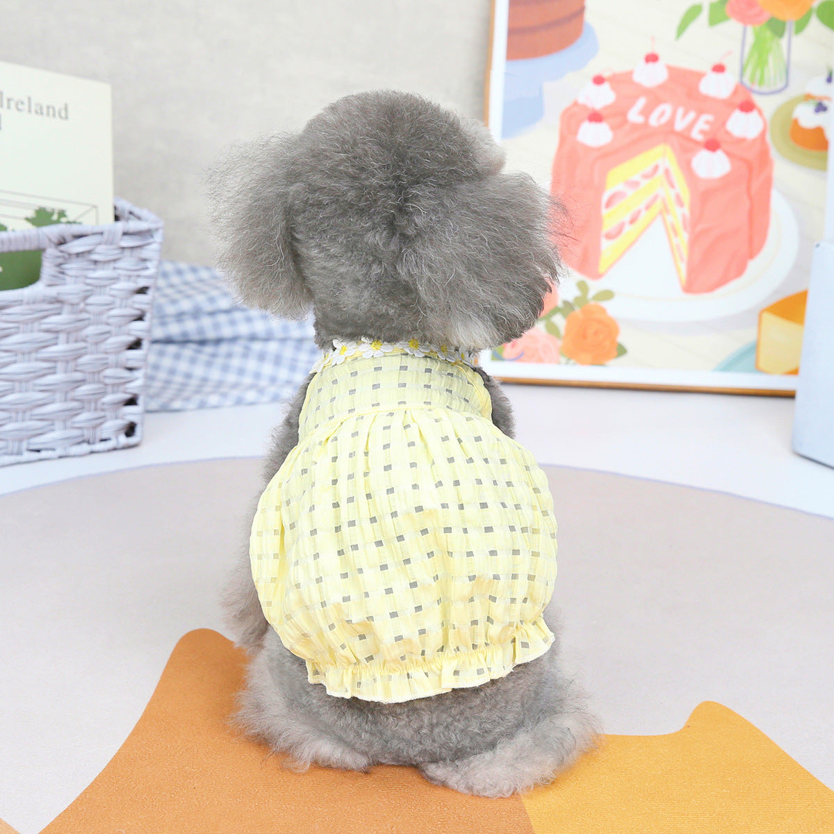 Pet Clothes Spring And Summer Dog Clothes Small Dog Clothes Pet - Fabs things