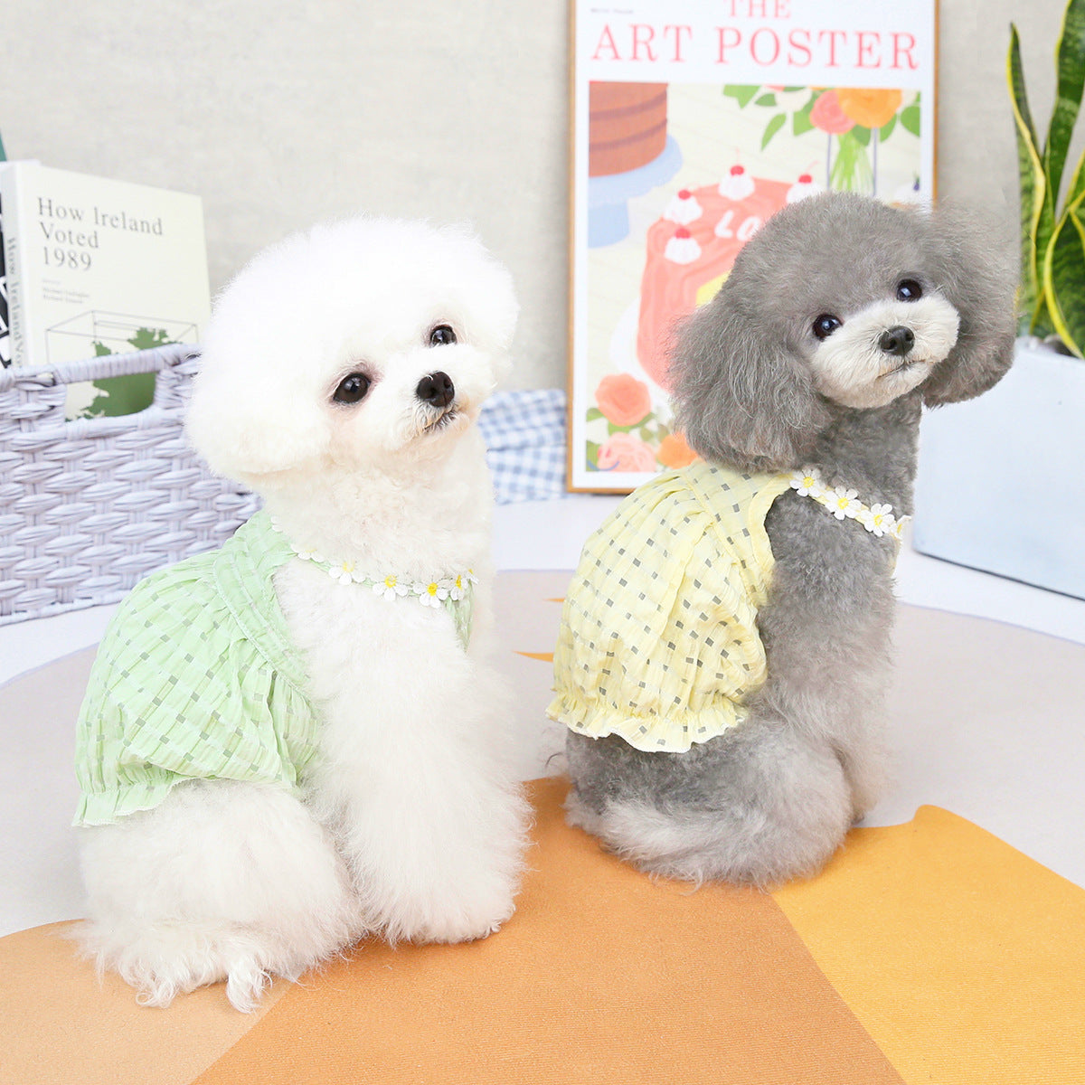 Pet Clothes Spring And Summer Dog Clothes Small Dog Clothes Pet - Fabs things