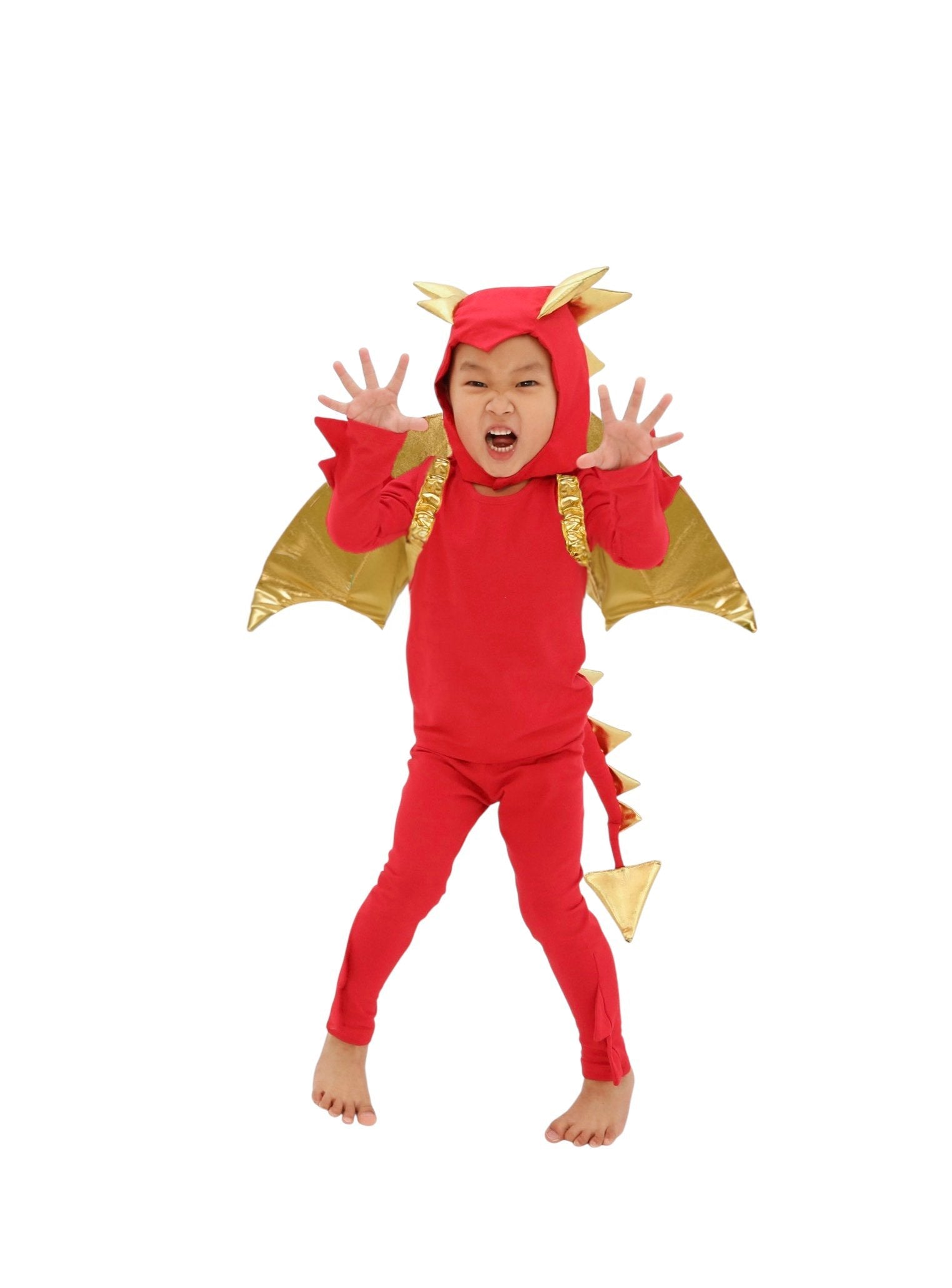 Red Dragon Costume