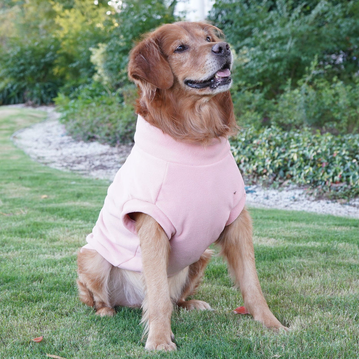Pet Labrador Golden Retriever Dog Clothes Large Breed Winter Warm Pet Clothes European and American Cross-border Wholesale - Fabs things