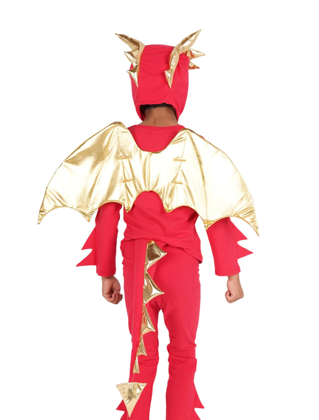Red Dragon Costume