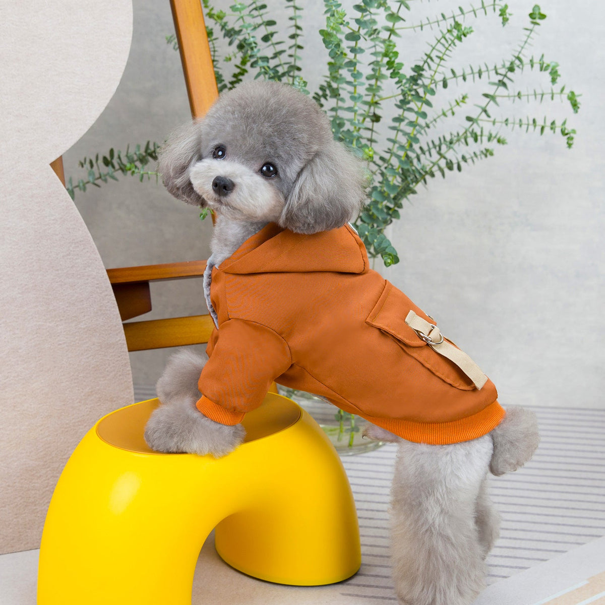 Pet clothes sweaters clothing for dogs teddy cats cool style two legged cotton clothes - Fabs things