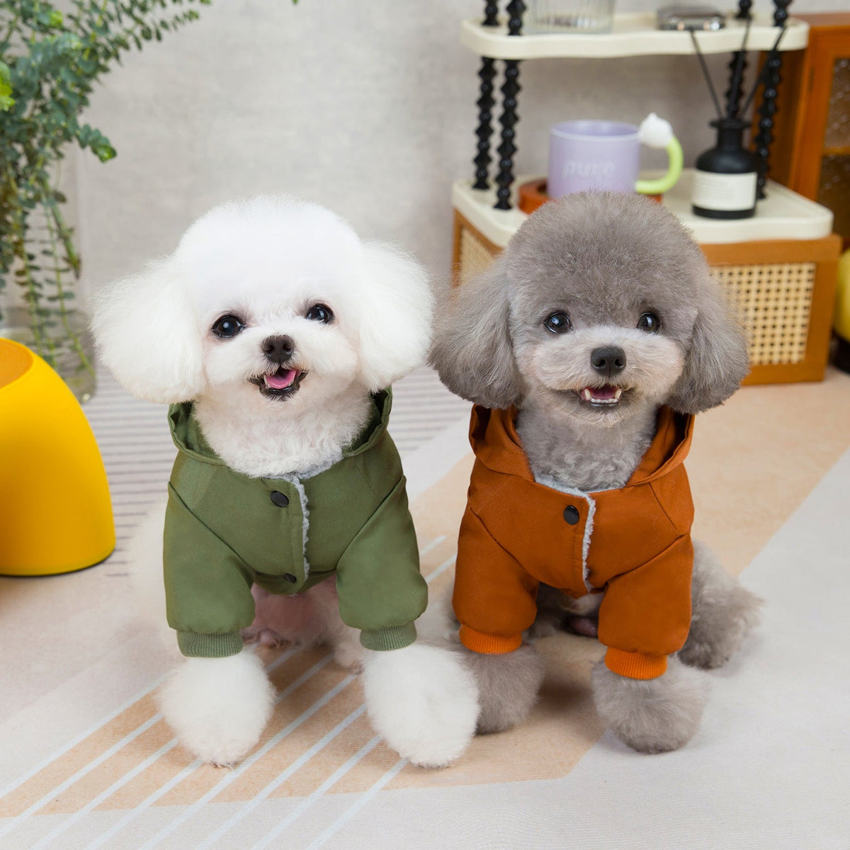 Pet clothes sweaters clothing for dogs teddy cats cool style two legged cotton clothes - Fabs things