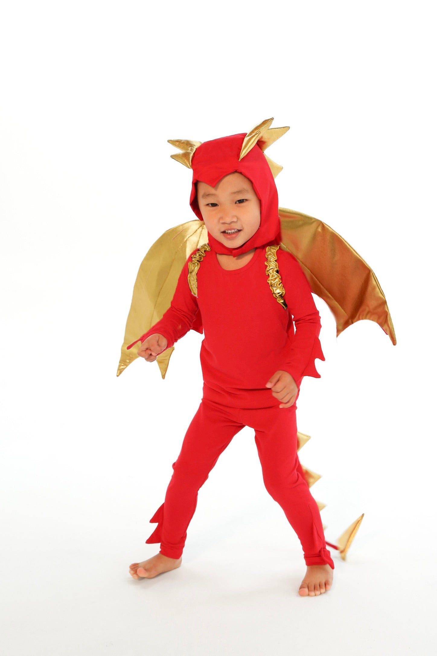 Red Dragon Costume