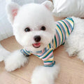 Rainbow Undercoat Dog Clothes Pet Clothes Cat Bears VIP Pomeranian Schnauzer Small Dog Clothes - Fabs things