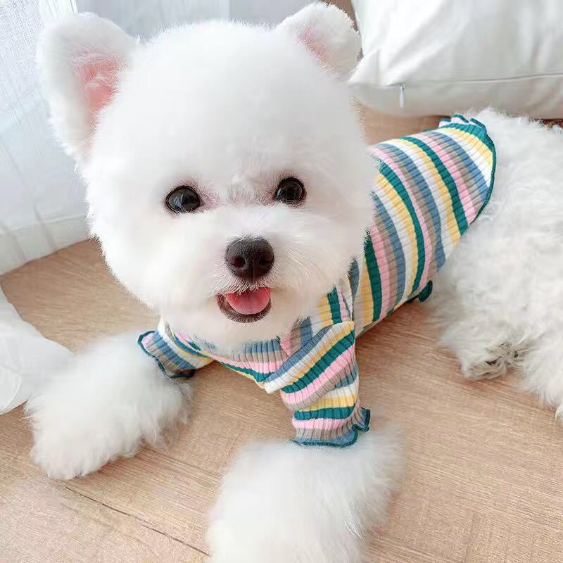 Rainbow Undercoat Dog Clothes Pet Clothes Cat Bears VIP Pomeranian Schnauzer Small Dog Clothes - Fabs things