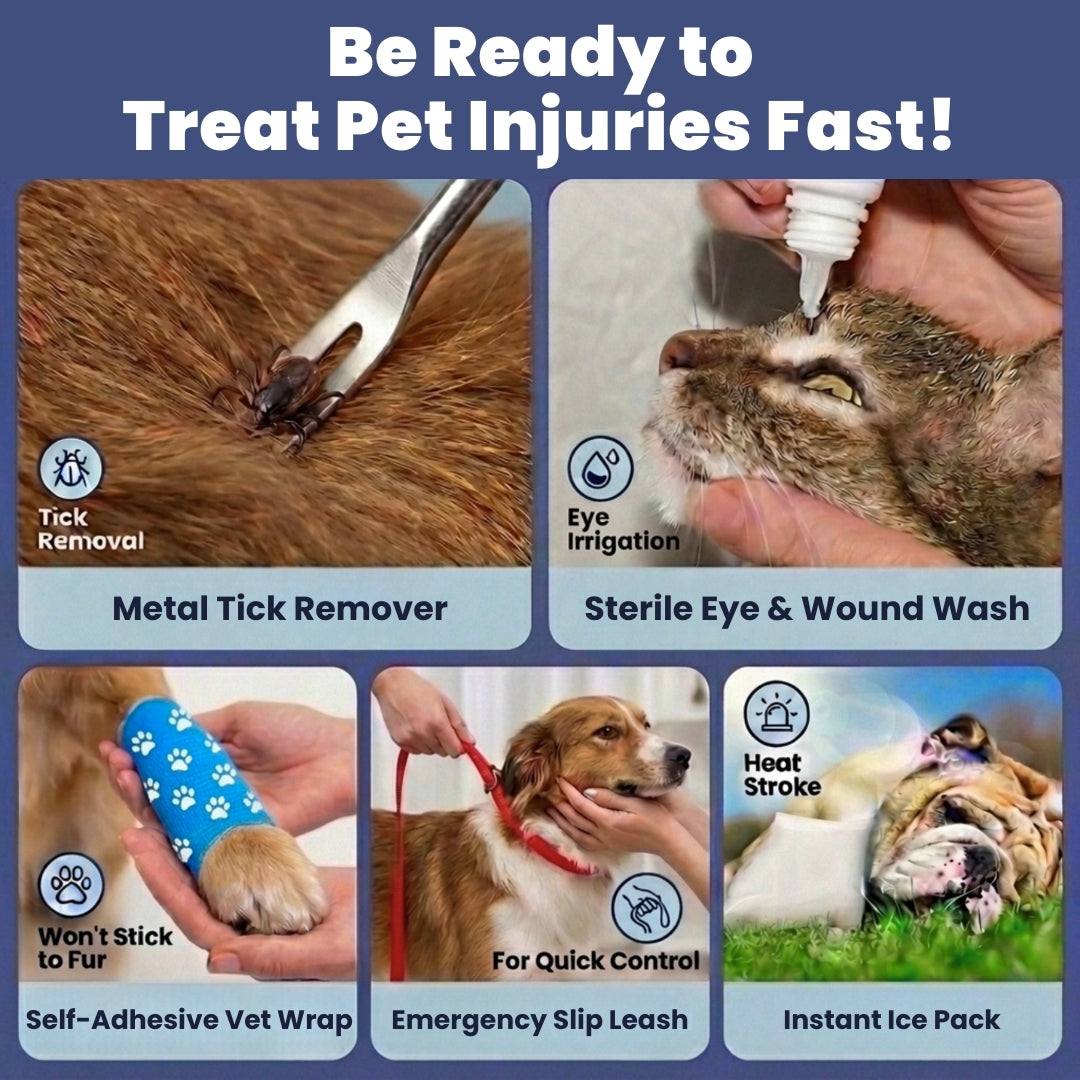 Pet First Aid Kit for Dogs & Cats with Vet-Approved Essentials - Fabs things