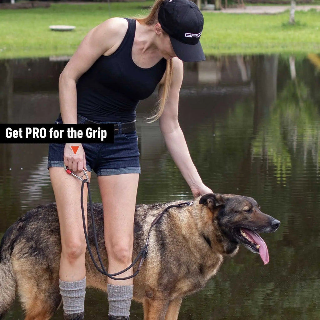 GPCA Dog Leash Set PRO / LITE - Fabs things