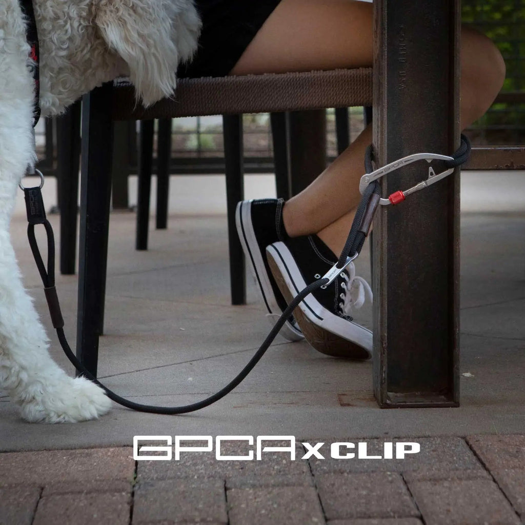 GPCA Dog Leash Set PRO / LITE - Fabs things