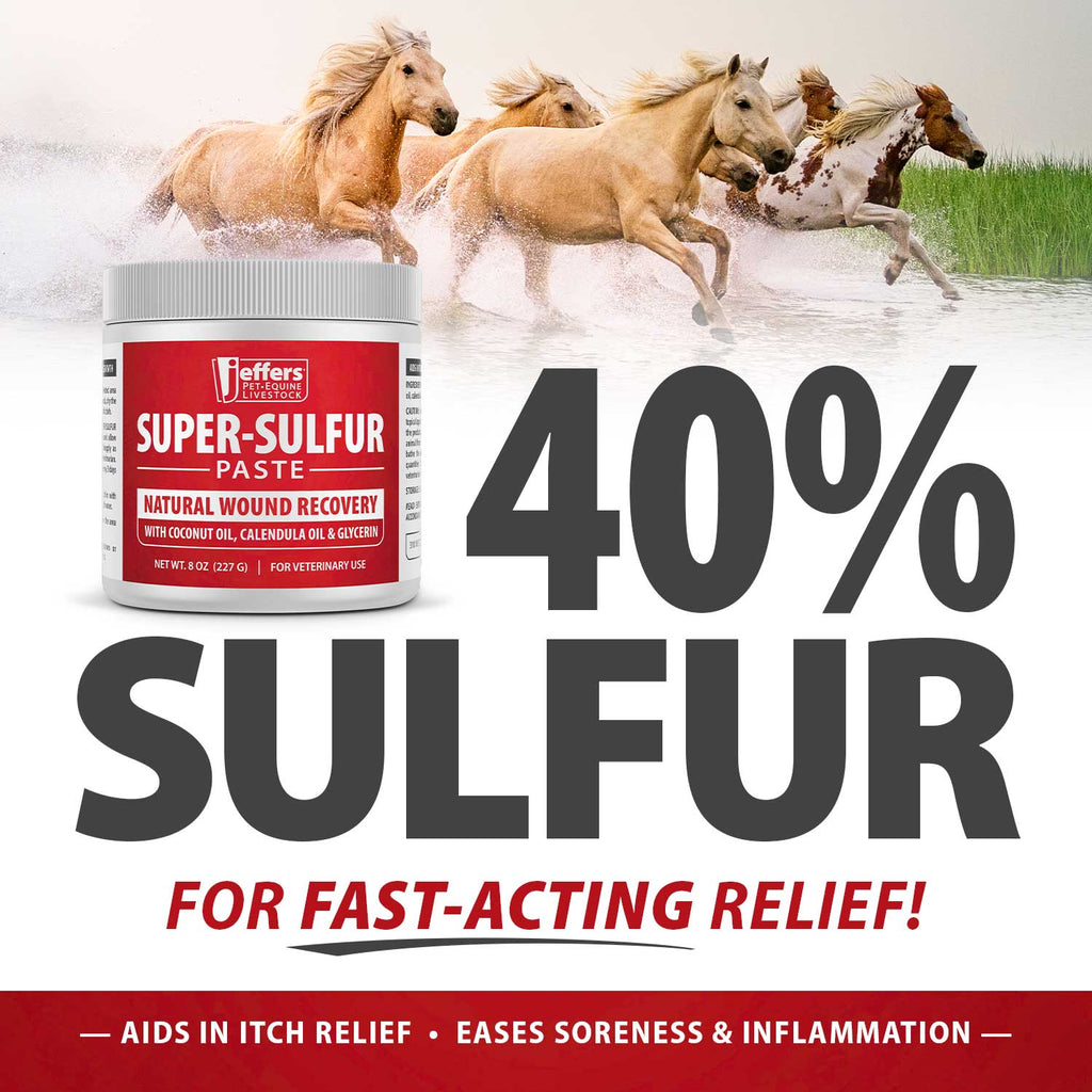 Jeffers Super-Sulfur Skin & Wound Healing Paste for Pets, Horses, & Livestock - Fabs things