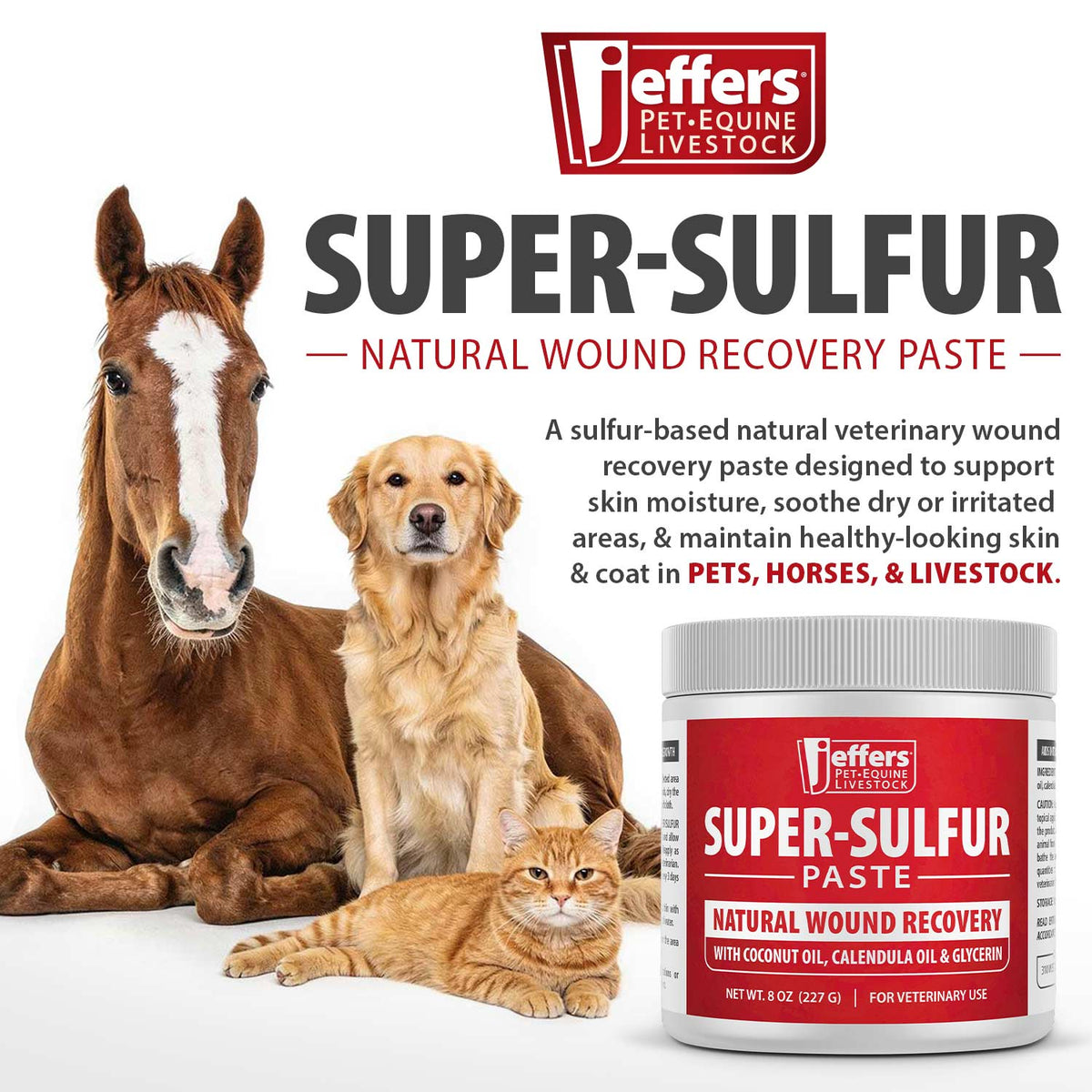 Jeffers Super-Sulfur Skin & Wound Healing Paste for Pets, Horses, & Livestock - Fabs things