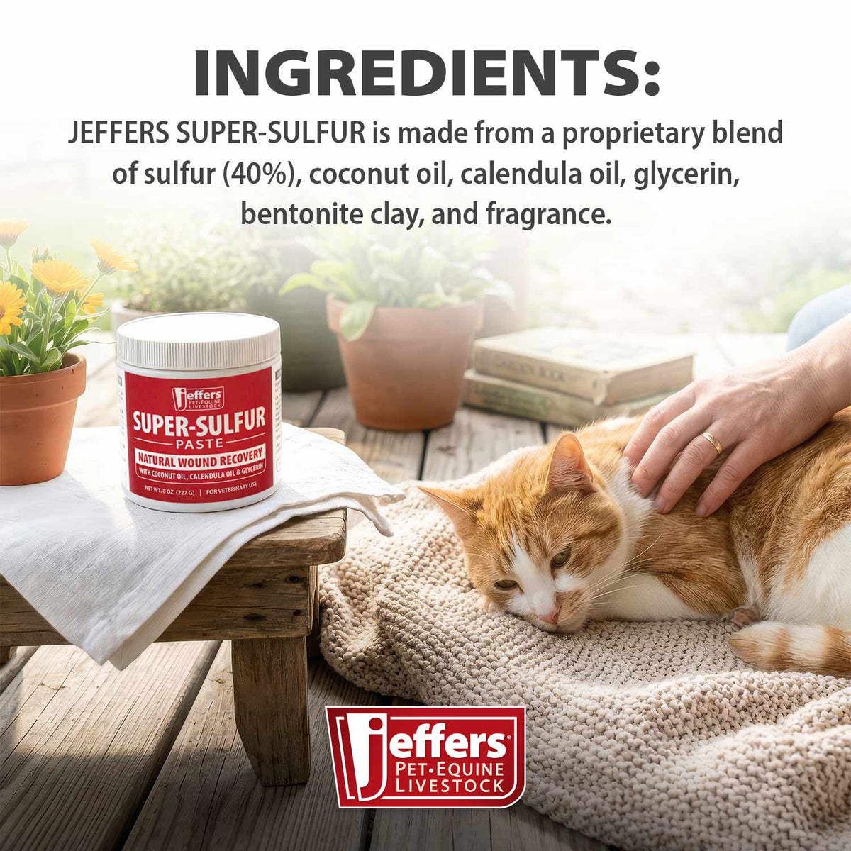 Jeffers Super-Sulfur Skin & Wound Healing Paste for Pets, Horses, & Livestock - Fabs things