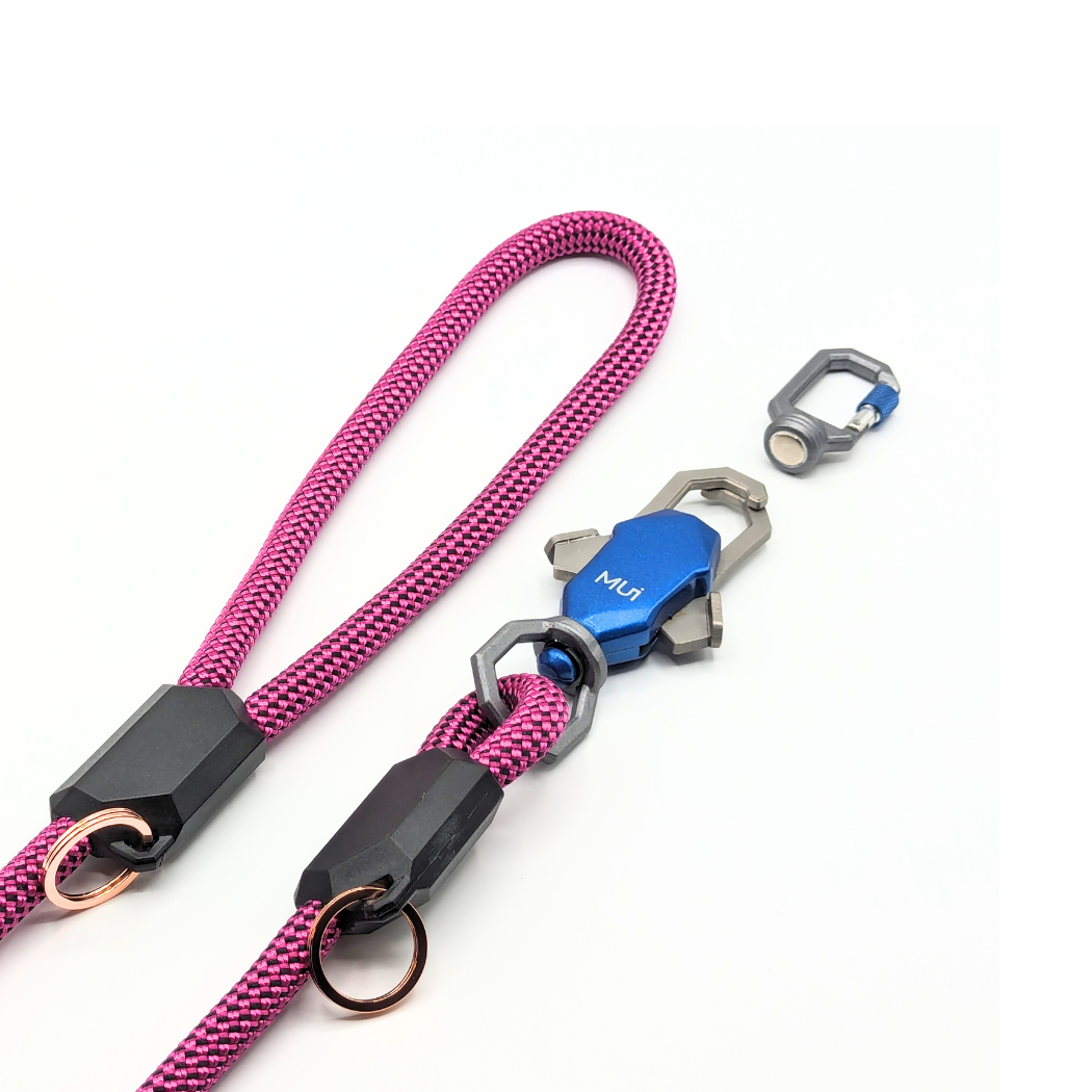 Patented Magnetic Dog Leash - One-Hand Connect & Release - Fabs things