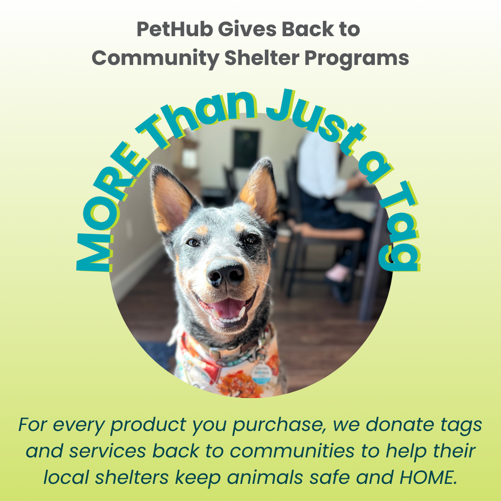 PetHub QR Pet ID Tag – Get Me Home Club - Fabs things