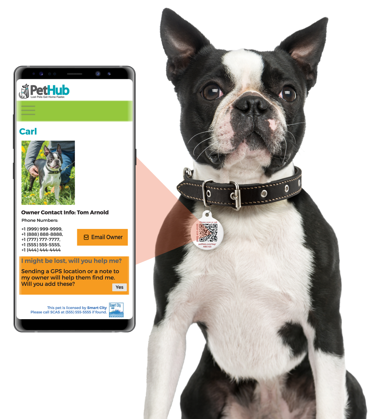 PetHub QR Pet ID Tag – Get Me Home Club - Fabs things