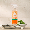 Pet Stain & Odor Remover - Fabs things