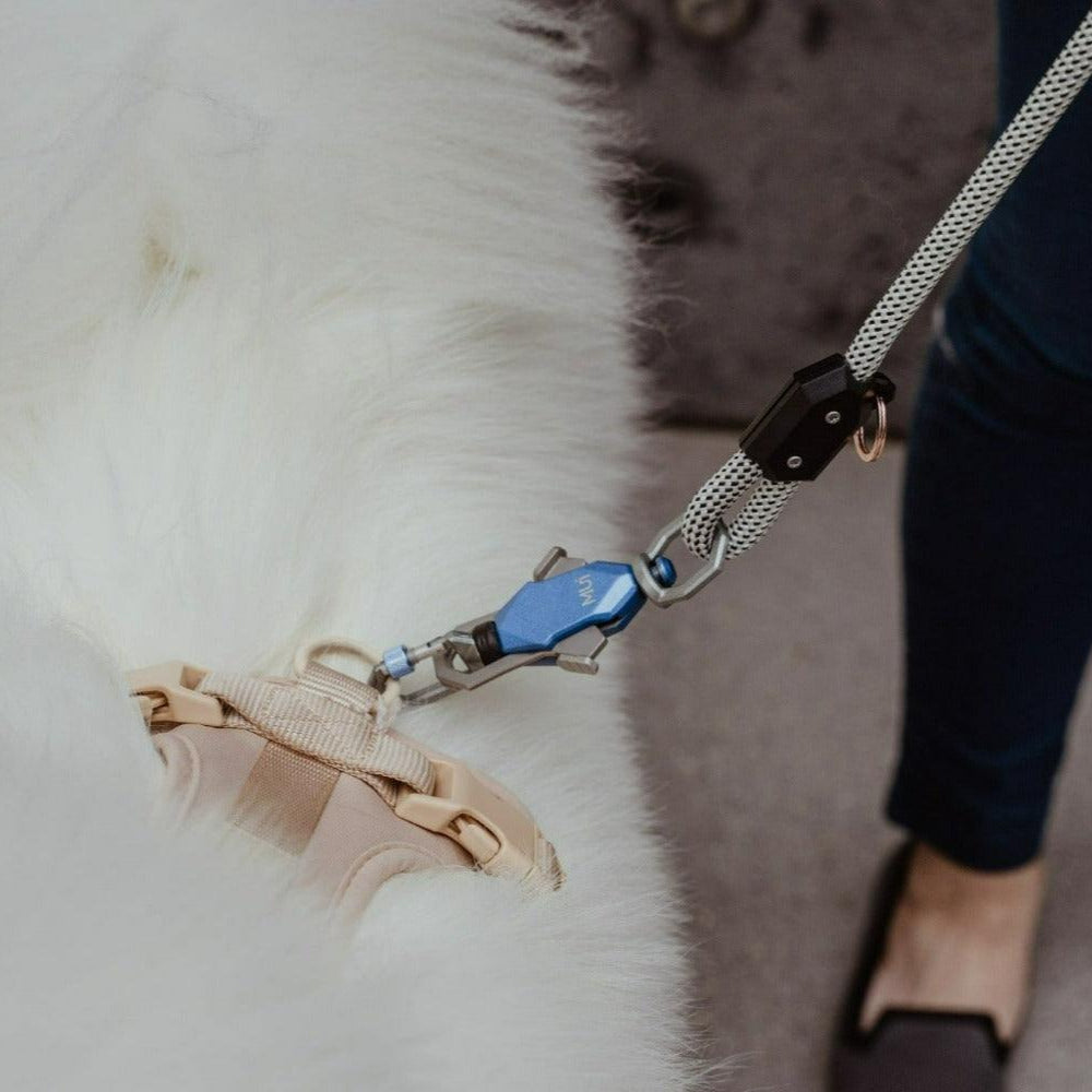 Patented Magnetic Dog Leash - One-Hand Connect & Release - Fabs things
