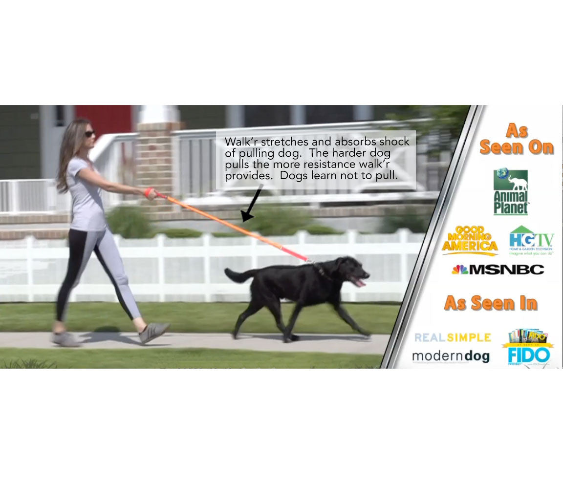 WUNDERleash – The Original No-Pull Dog Leash - Fabs things