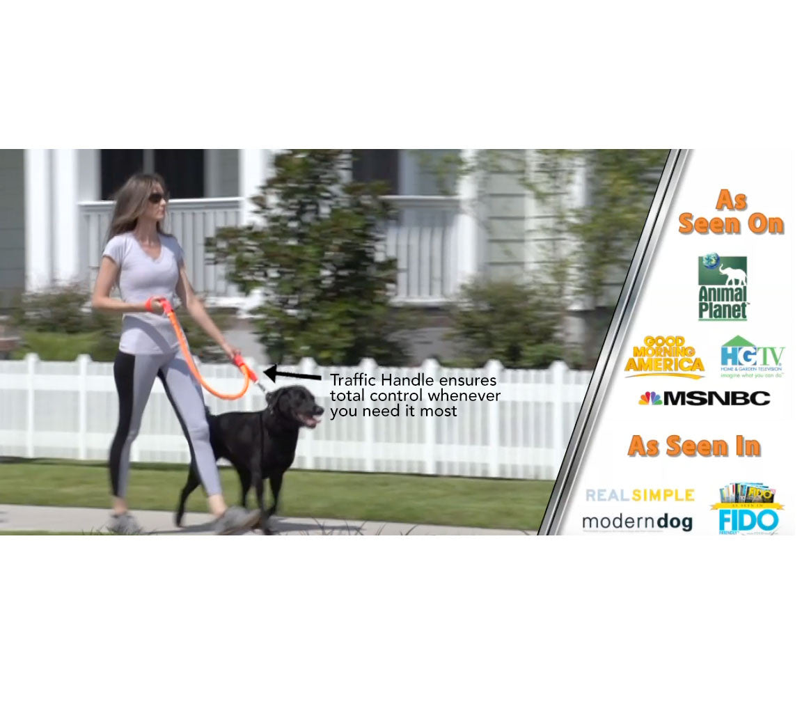 WUNDERleash – The Original No-Pull Dog Leash - Fabs things