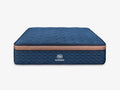 2026 New Brooklyn Bedding Aurora Luxe Cooling Cloud Pillow Top