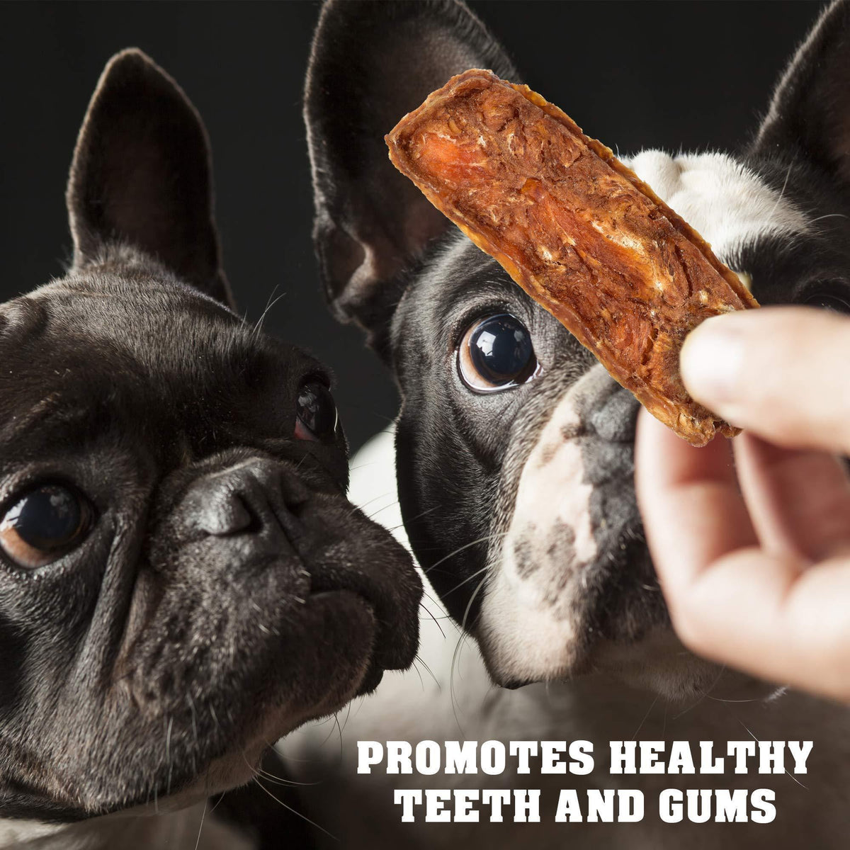 Chicken Jerky Dog Treats 1.5 lb Human-Grade Grain-Free Dried Strips - Fabs things