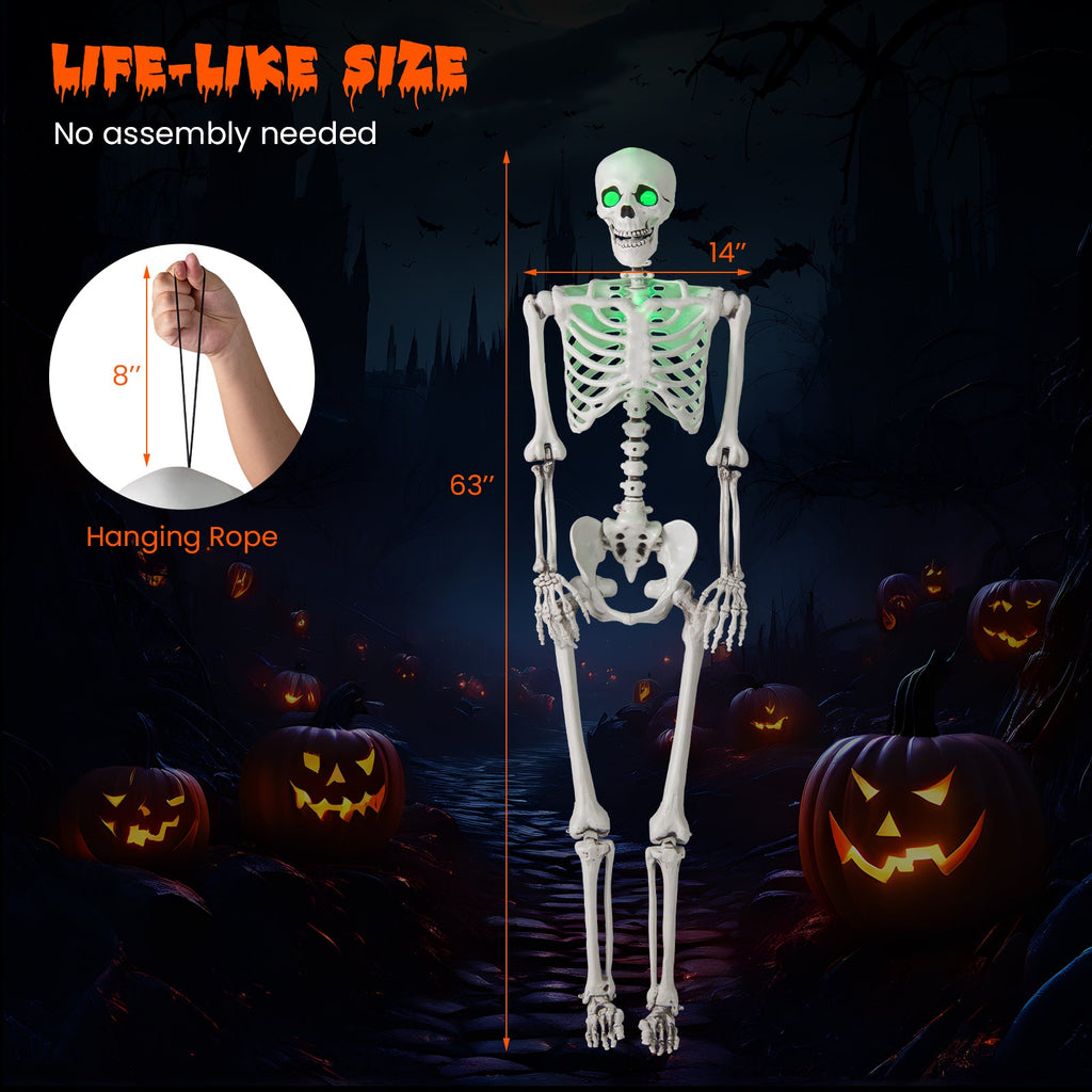 5.5 FT Halloween Skeleton Life-Size Posable for Indoor Outdoor Decoration - Fabs things