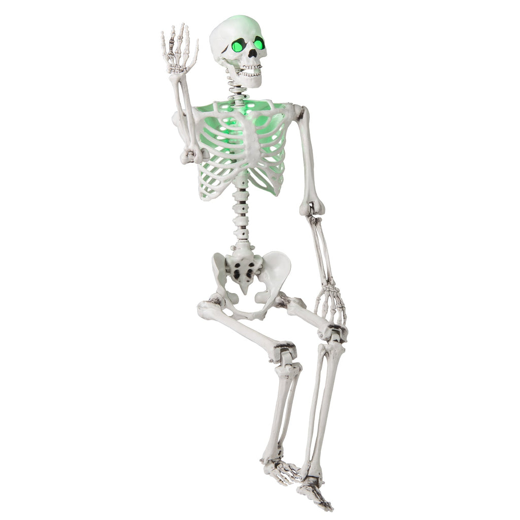 5.5 FT Halloween Skeleton Life-Size Posable for Indoor Outdoor Decoration - Fabs things