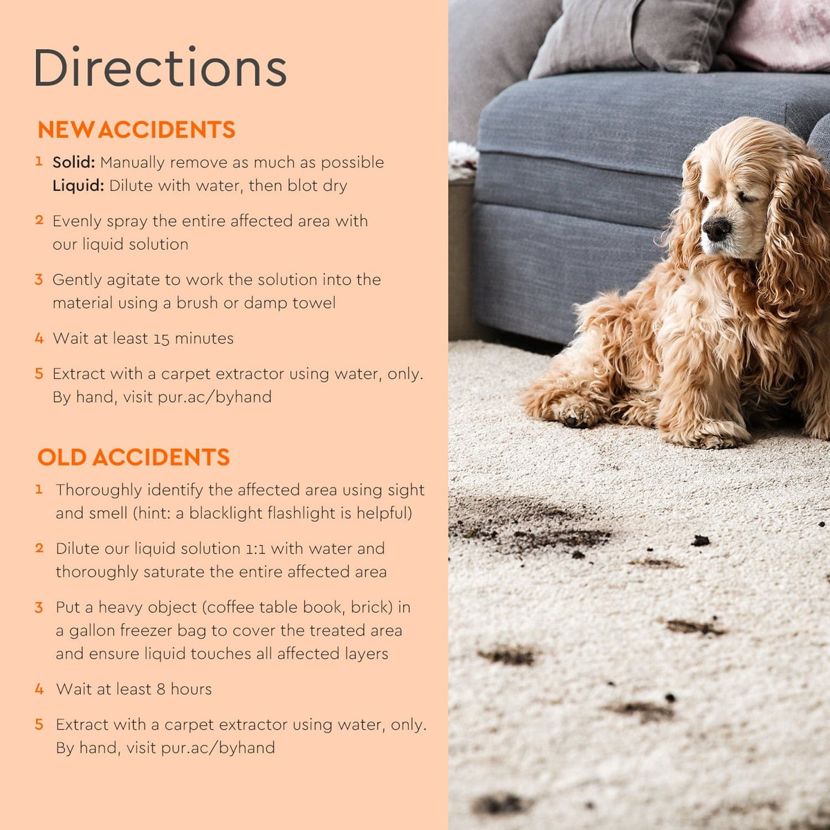 Pet Stain & Odor Remover - Fabs things