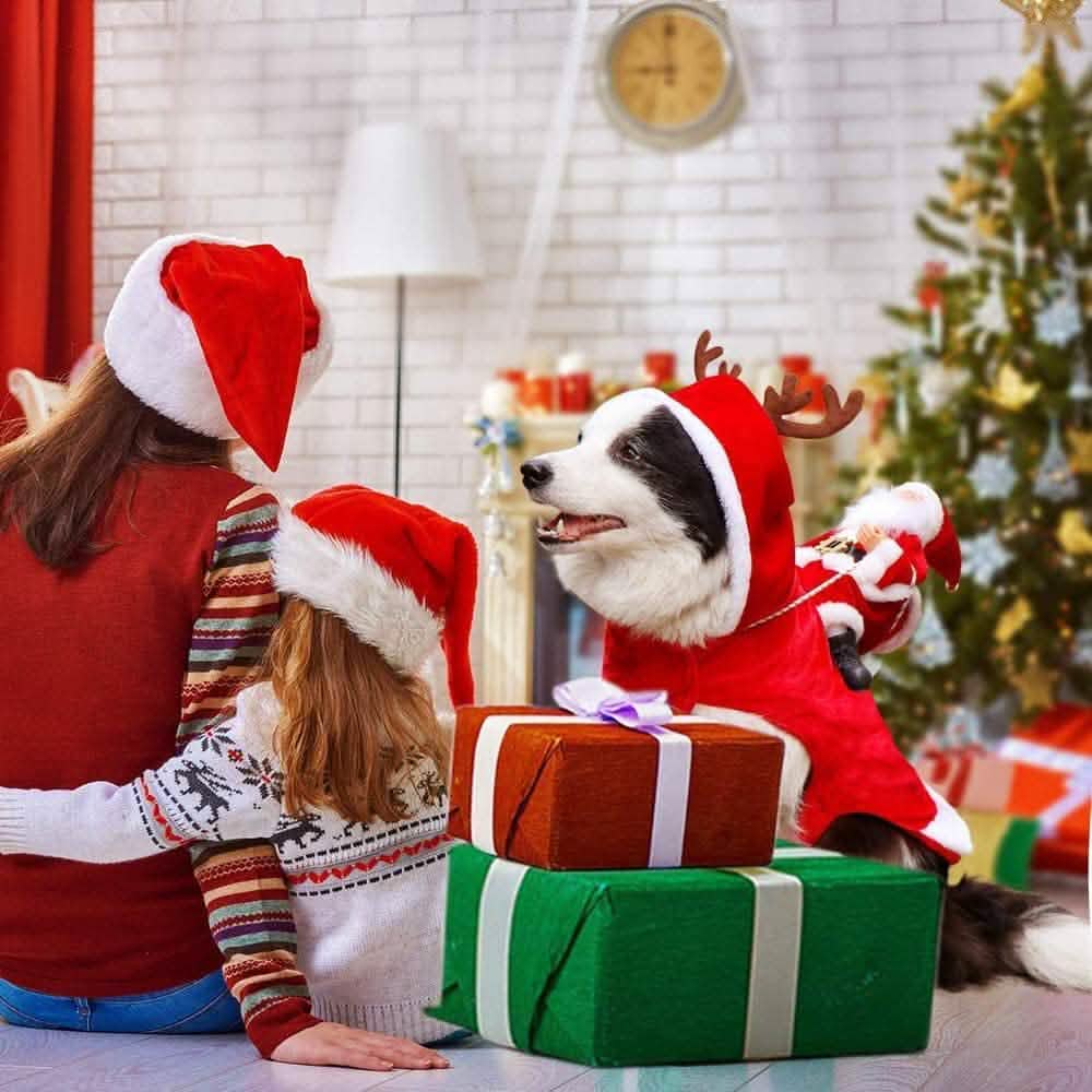 Dog Costume Christmas Pet Clothes - Fabs things