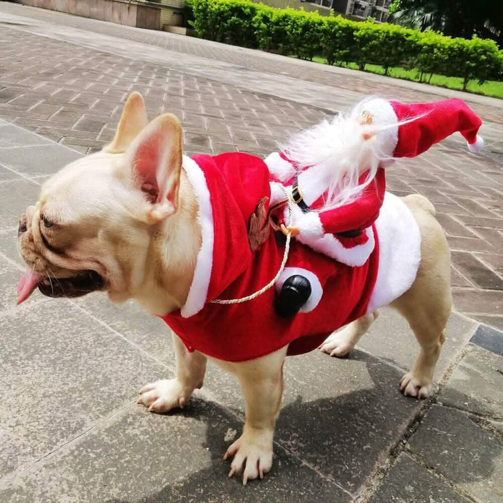 Dog Costume Christmas Pet Clothes - Fabs things