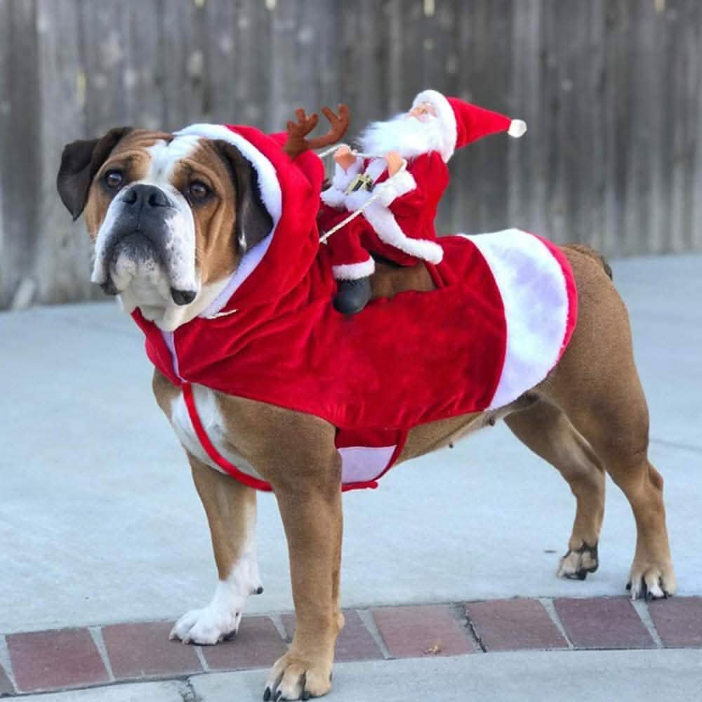 Dog Costume Christmas Pet Clothes - Fabs things