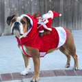 Dog Costume Christmas Pet Clothes - Fabs things