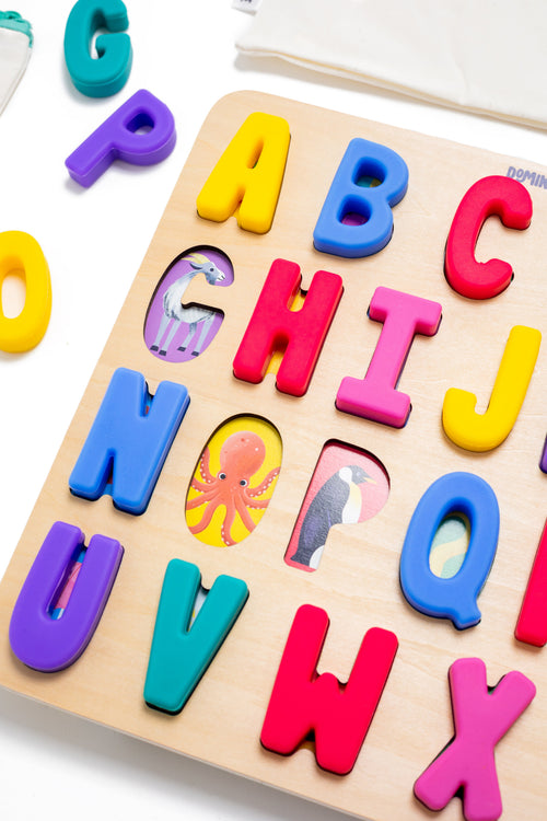 ABC Find & Fit Puzzle - Fabs things