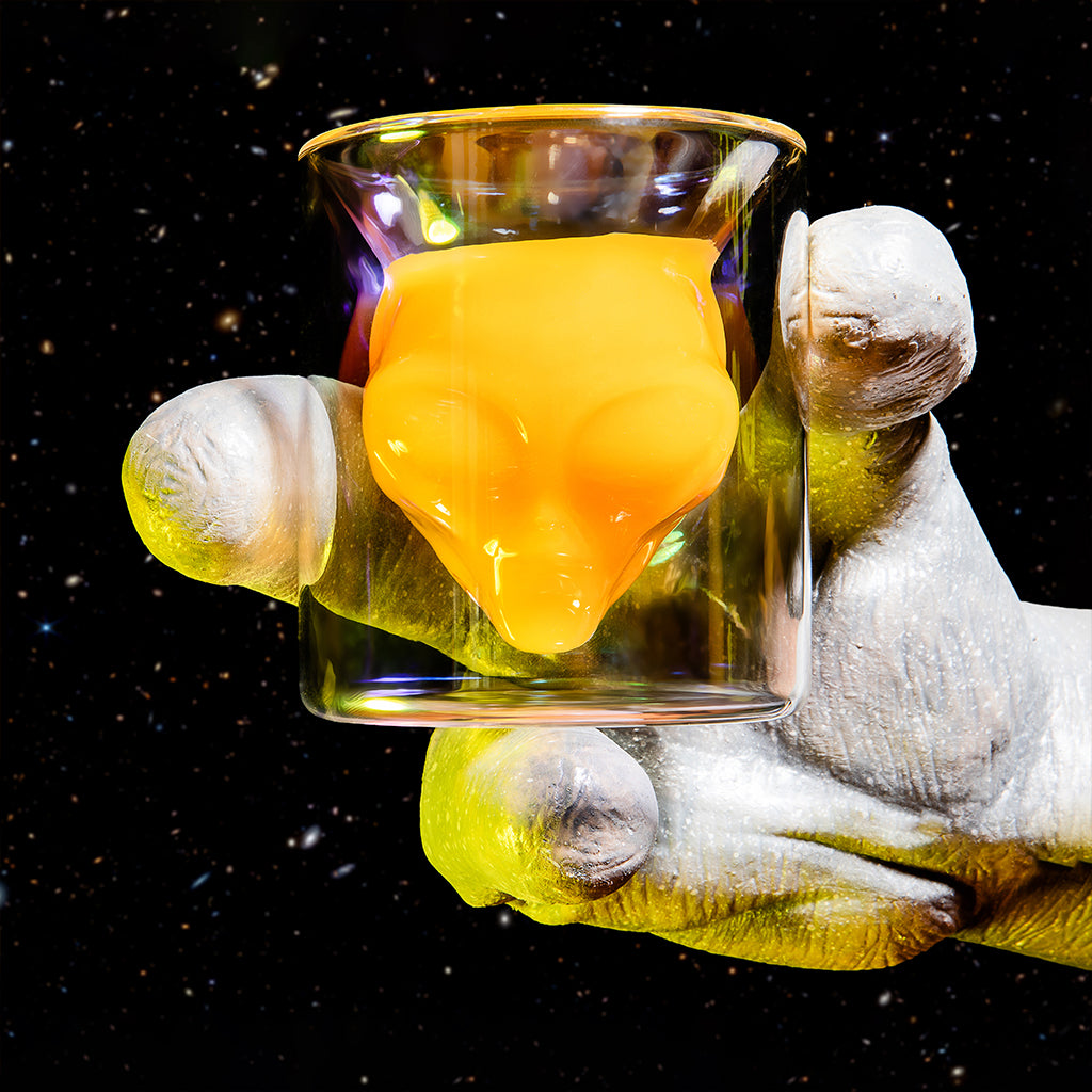 Area 51 Alien Glasses - Fabs things